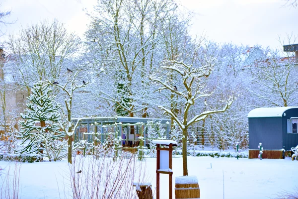 Grüenes Klassenzimmer im Schlosspark Oranienburg im Winter