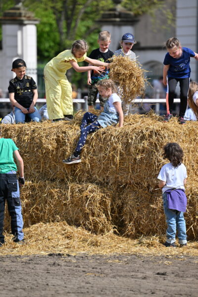 Foto: Björn Schroeder