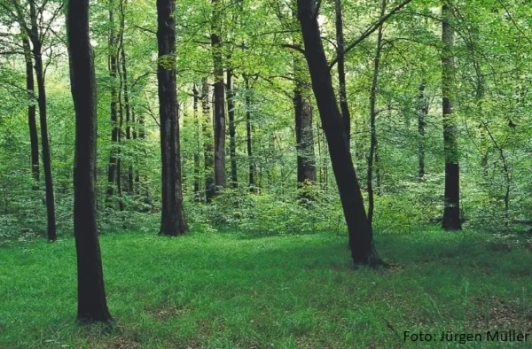 Foto: Jürgen Müller