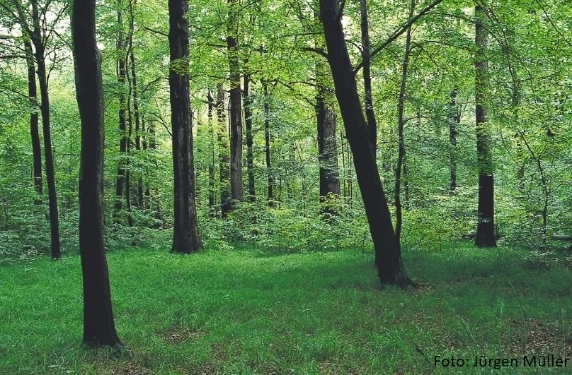 Foto: Jürgen Müller