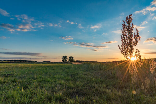 Foto: Thomas Rathay, Lizenz: Thomas Rathay