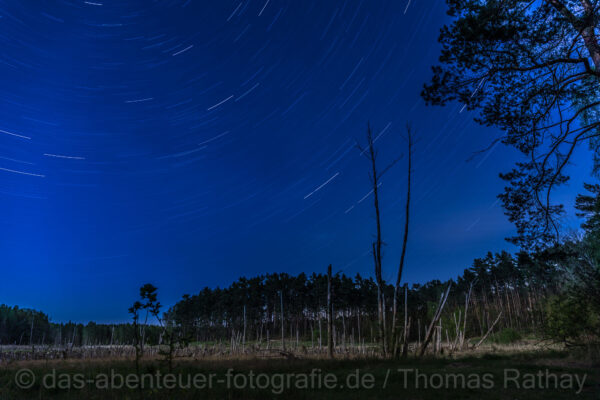 Foto: Thomas Rathay, Lizenz: Thomas Rathay