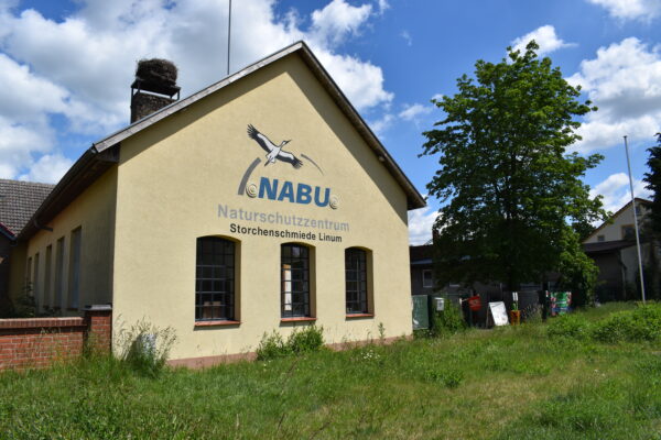 Foto: Andrina Loewe, Lizenz: Gemeinde Fehrbellin