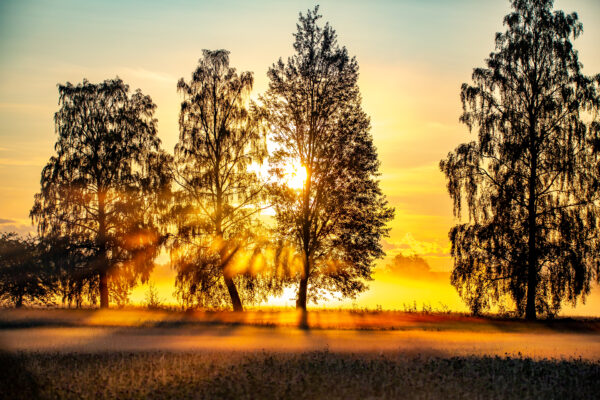 Foto: Wolfgang Beckert, Lizenz: Landkreis Oberhavel