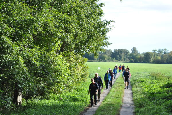 Foto: Dr. Mario Schrumpf, Lizenz: Naturpark Stechln-Ruppiner Land