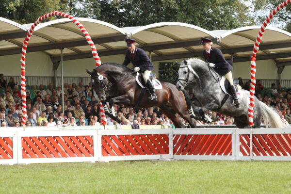 Springquadrille, Foto: Björn Schroeder