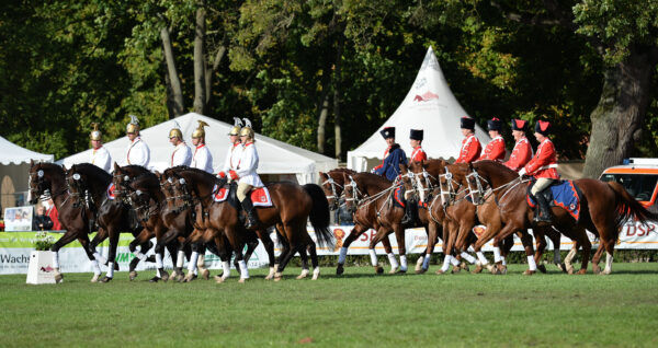 Dressurquadrille, Foto: Björn Schroeder