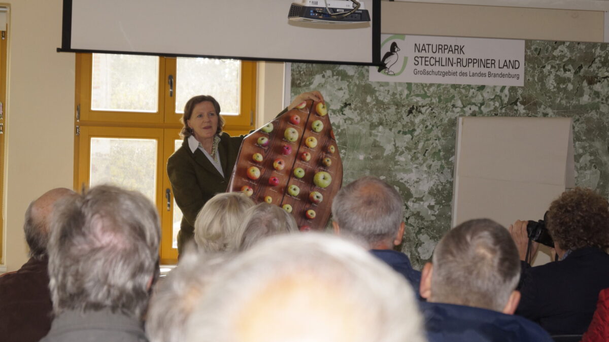 Foto: Fotoarchiv, Lizenz: Naturparkhaus Stechlin