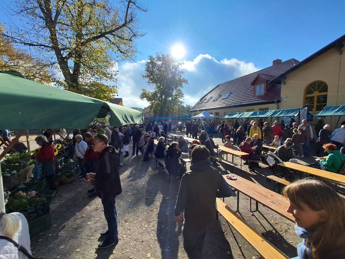 17. Menzer Apfeltag in 2022!, Foto: Reimund Alheit, Lizenz: Naturpark Stechlin-Ruppiner Land