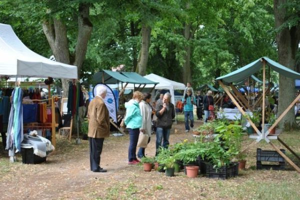 Waldfest, Foto: Mario Schrumpf, Lizenz: Naturparkhaus Stechlin