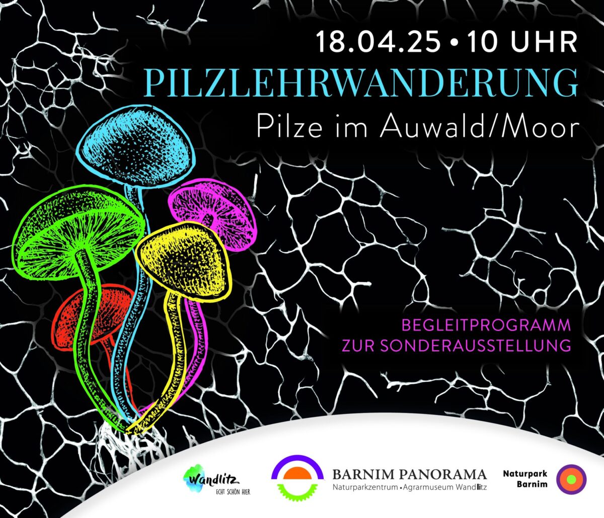 Pilzlehrwanderung , Foto: Jeannine Schneider, Lizenz: Barnim Panorama