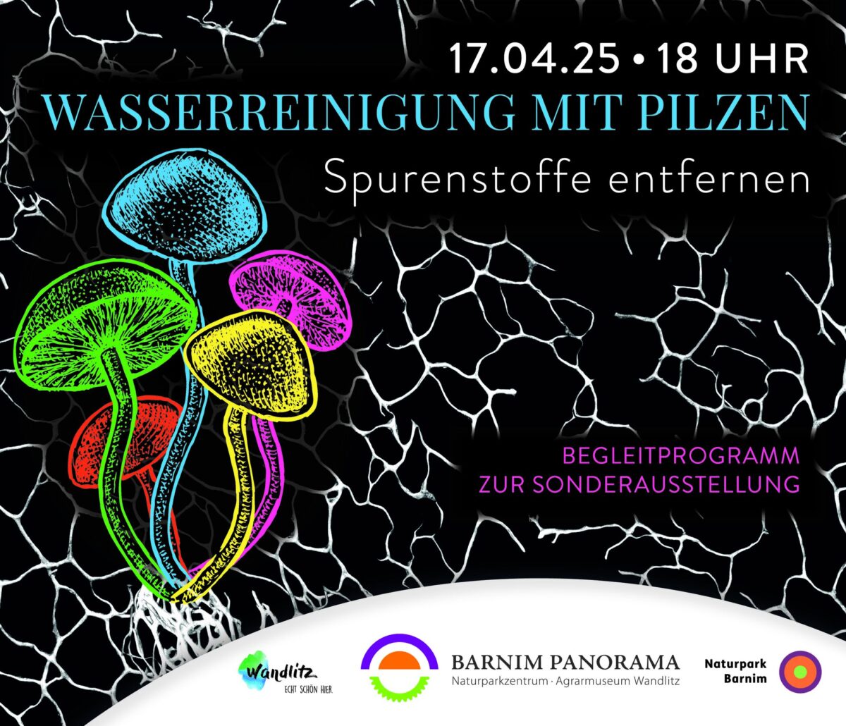 Wasserreinigung mit Pilzen, Foto: Jeannine Schneider, Lizenz: Barnim Panorama