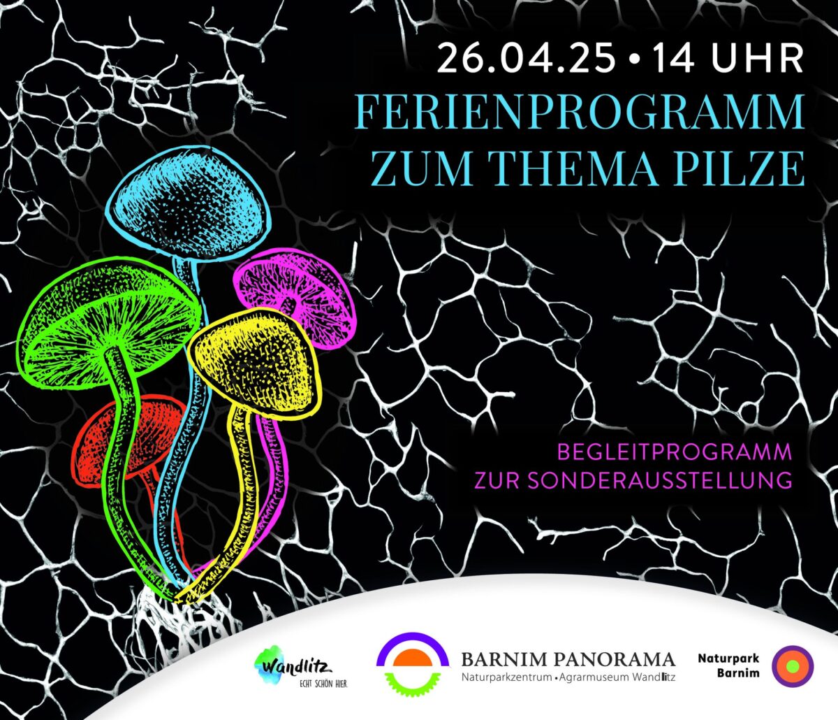 Ferienprogramm, Foto: Jeannine Schneider, Lizenz: Barnim Panorama