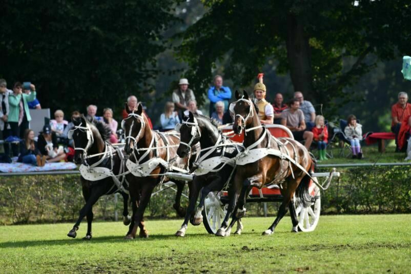Die Altrömischen Quadrigen, Foto: Markus Hiltbrunner, Lizenz: pixabay