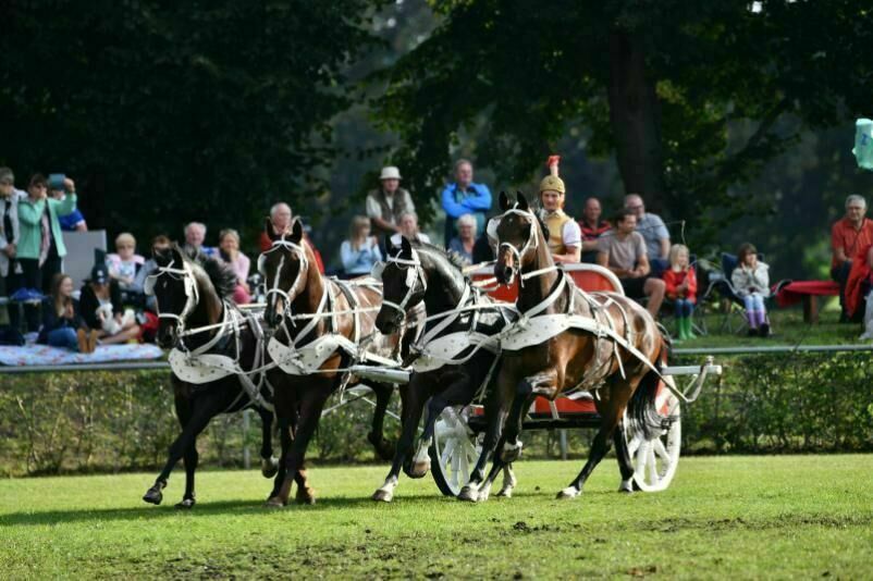 Die Altrömischen Quadrigen, Foto: Markus Hiltbrunner, Lizenz: pixabay