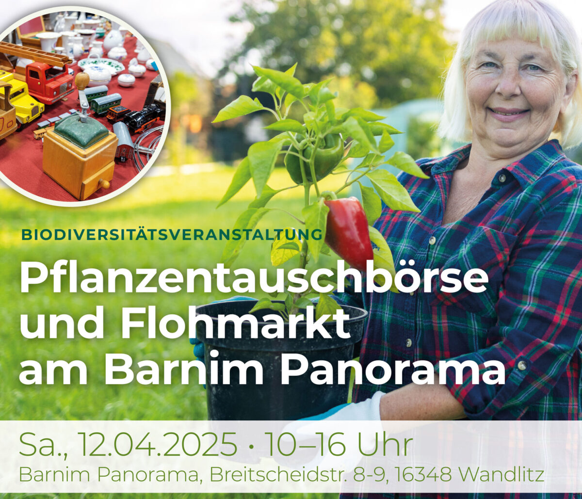 Flohmarkt und Pflanzentauschbörse, Foto: Gemeinde Wandlitz, Lizenz: Gemeinde Wandlitz
