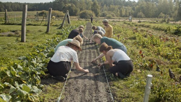 Ernte teilen, Foto: Kevin Schaub, Lizenz: Gemeinde Wandlitz
