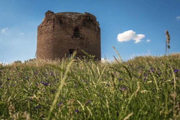 Stolper-Turm_Kraeuter, Foto: A.-Winter, Lizenz: Tourismusverein Angermünde e.V.