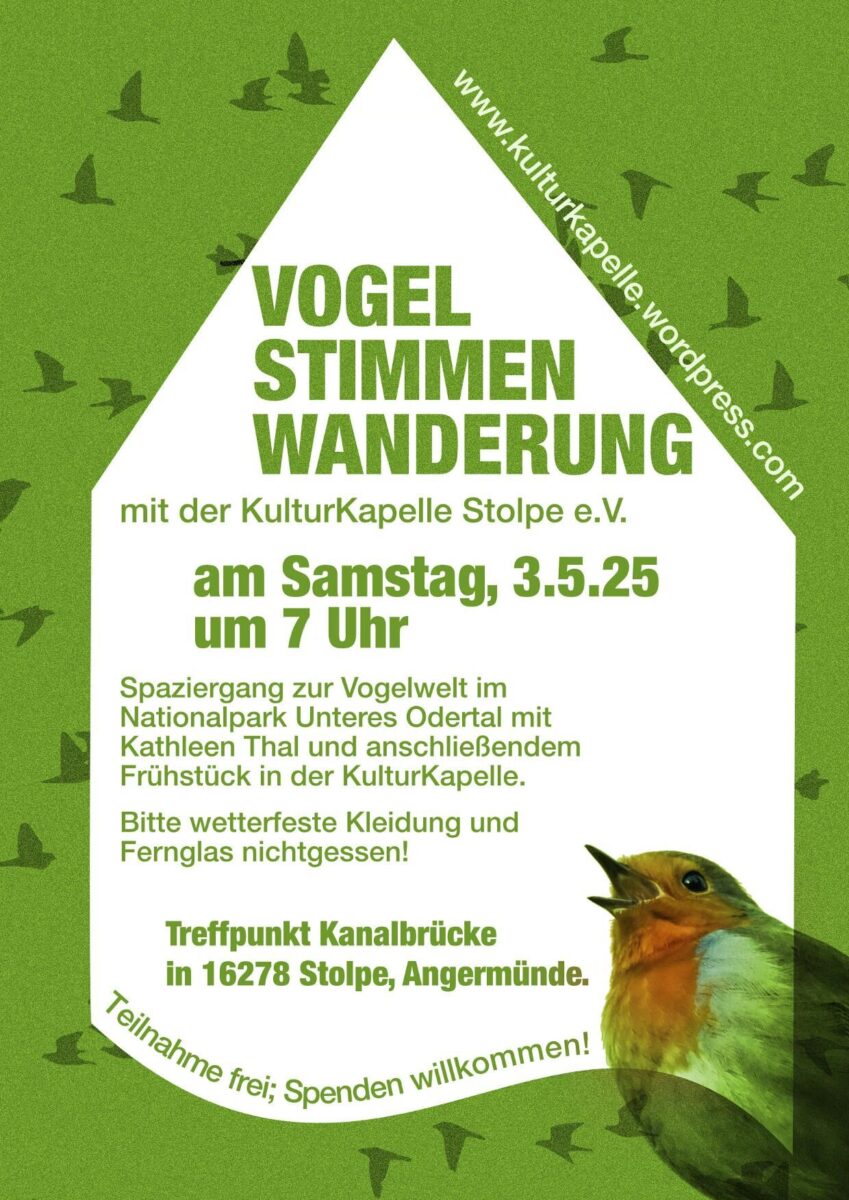 Vogelstimmen Stolpe 2025, Foto: Anja Freyhoff, Lizenz: Kulturkapelle Stolpe/Oder e.V.