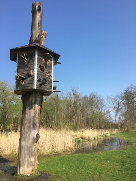 Vogelhaus, Foto: Anet Hoppe