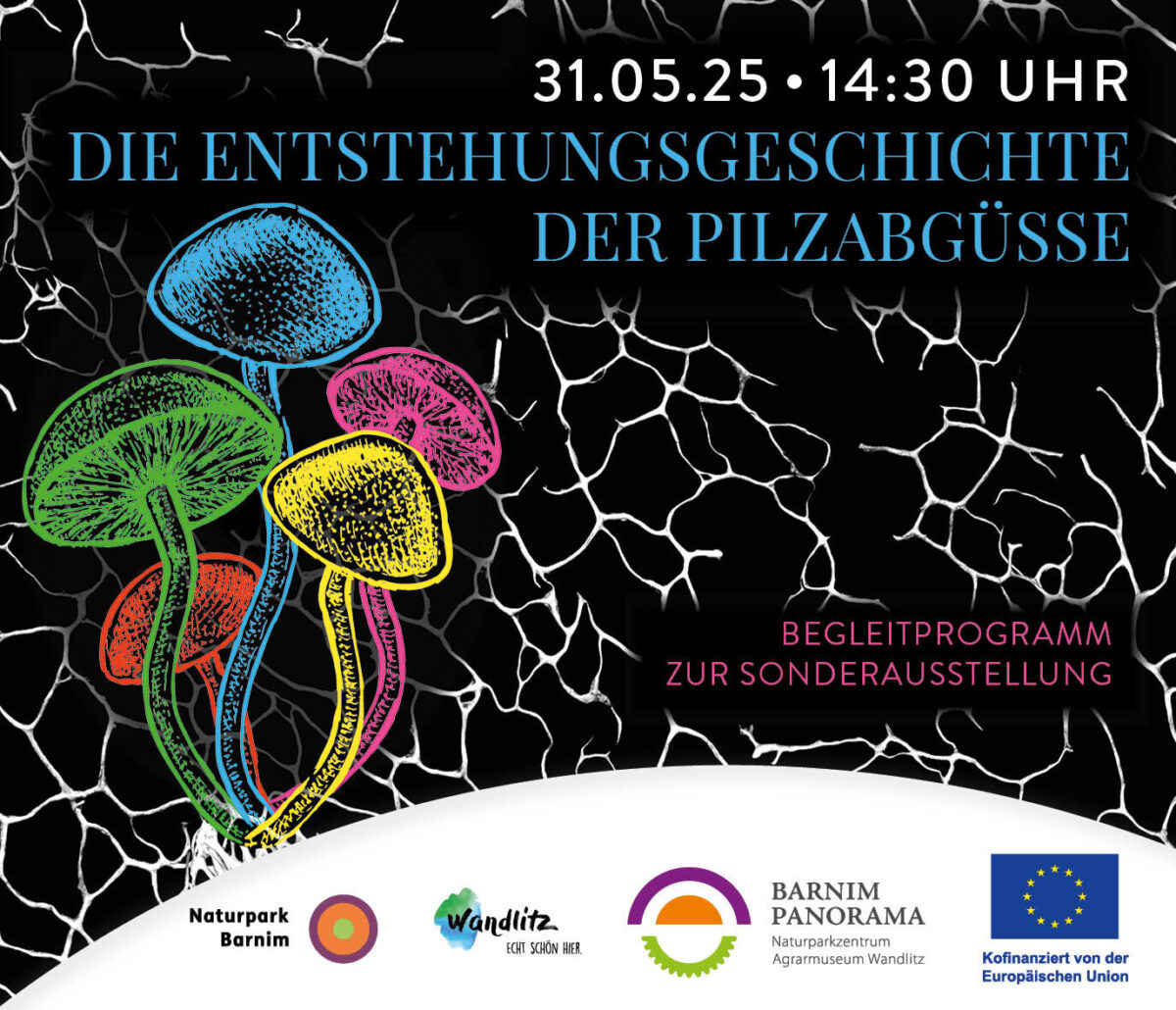 Pilzabgüsse, Foto: Jeannine Schneider, Lizenz: Gemeinde Wandlitz
