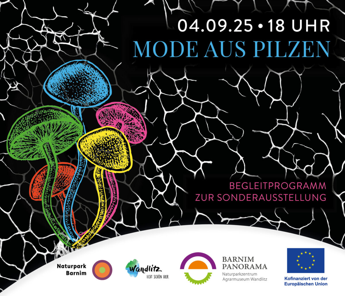 Mode aus Pilzen, Foto: Jeannine Schneider, Lizenz: Barnim Panorama