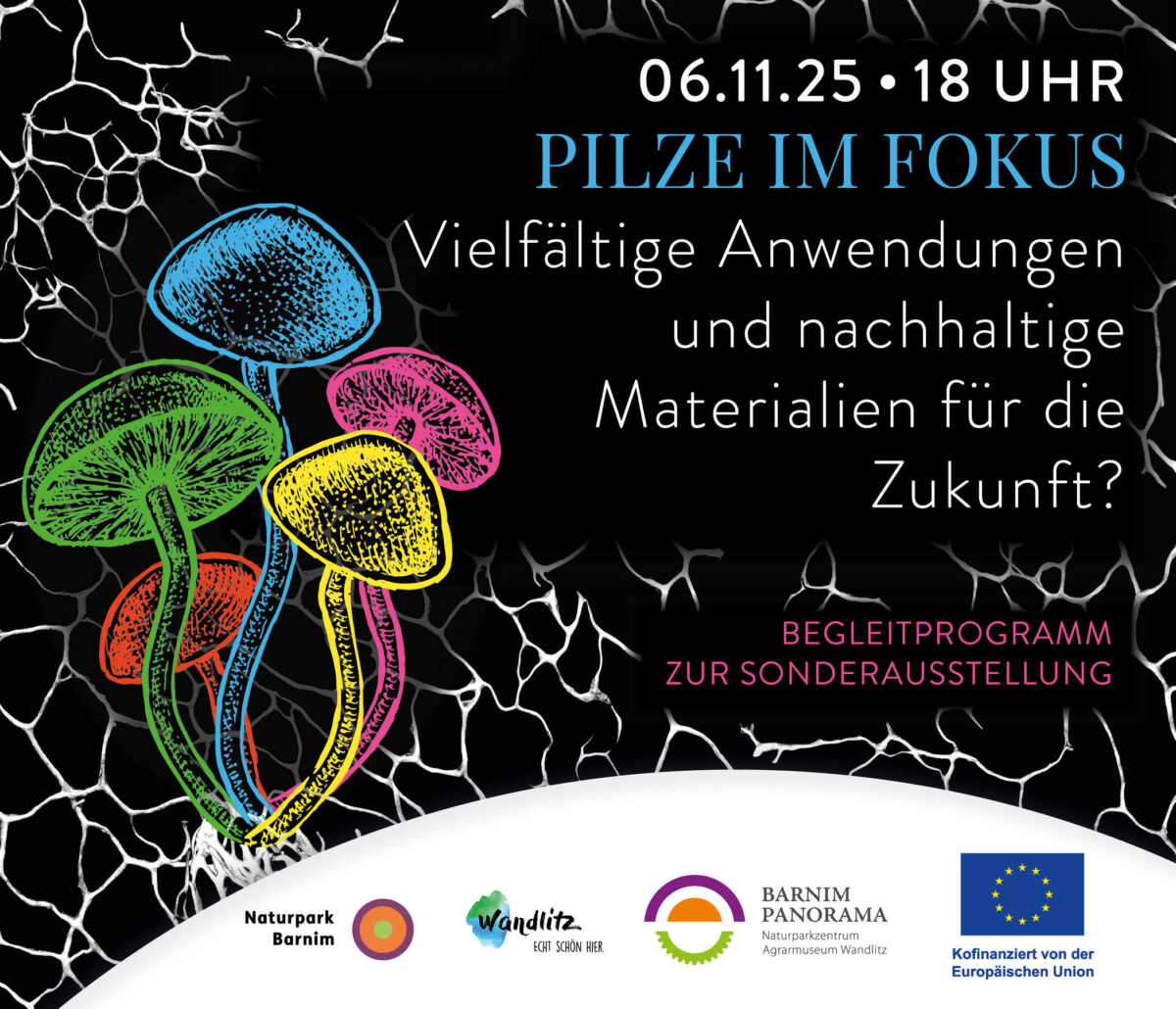 Pilze im Fokus, Foto: Jeannine Schneider, Lizenz: Gemeinde Wandlitz