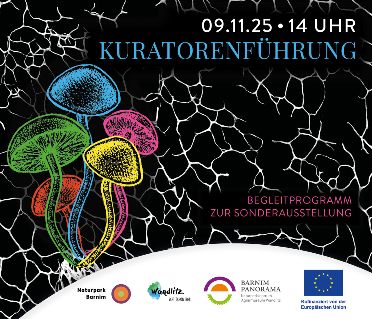 Kuratorenführung, Foto: Jeannine Schneider, Lizenz: Gemeinde Wandlitz