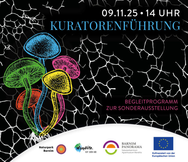 Kuratorenführung, Foto: Jeannine Schneider, Lizenz: Gemeinde Wandlitz