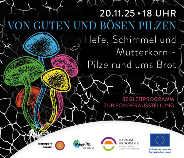 Von guten und bösen Pilzen, Foto: Jeannine Schneider, Lizenz: Gemeinde Wandlitz