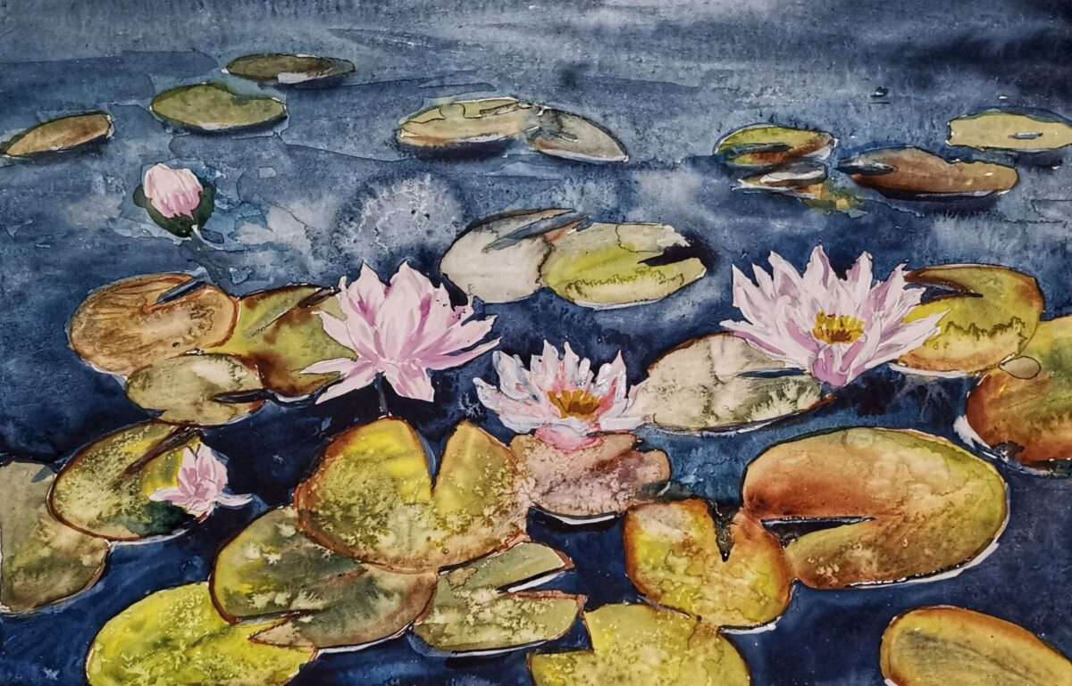 Seerosen, Foto: Bianka Estel