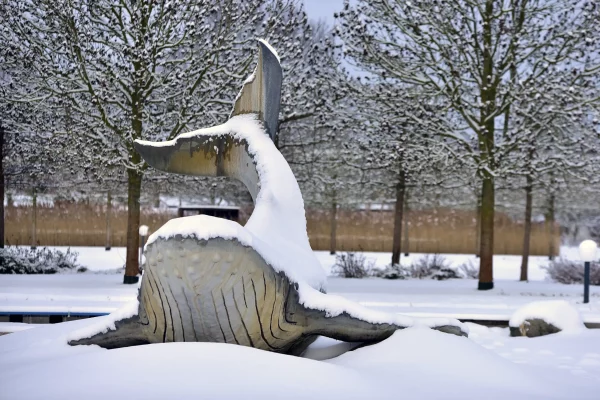 Schlosspark Oranienburg Wal OKI im Winter